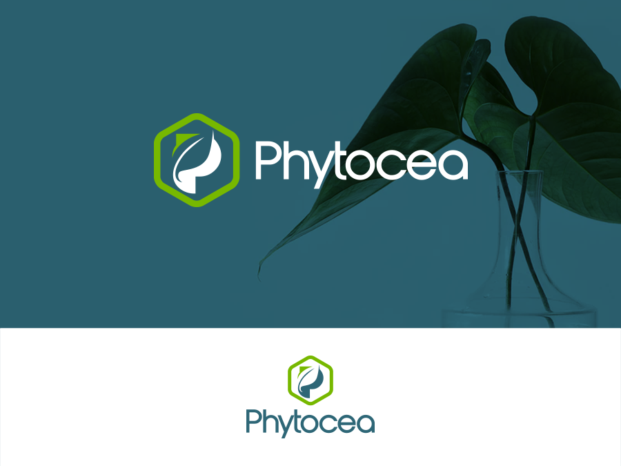 Logo Design by NIXXON for this project | Design #25714090