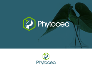 Logo Design by NIXXON for this project | Design: #25714090