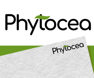 Logo Design by Jay Design