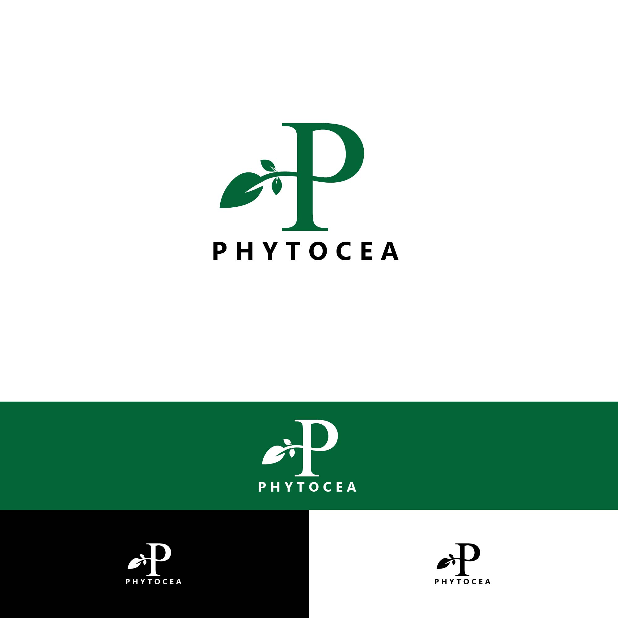 Logo Design by alitjuara for this project | Design #25581941