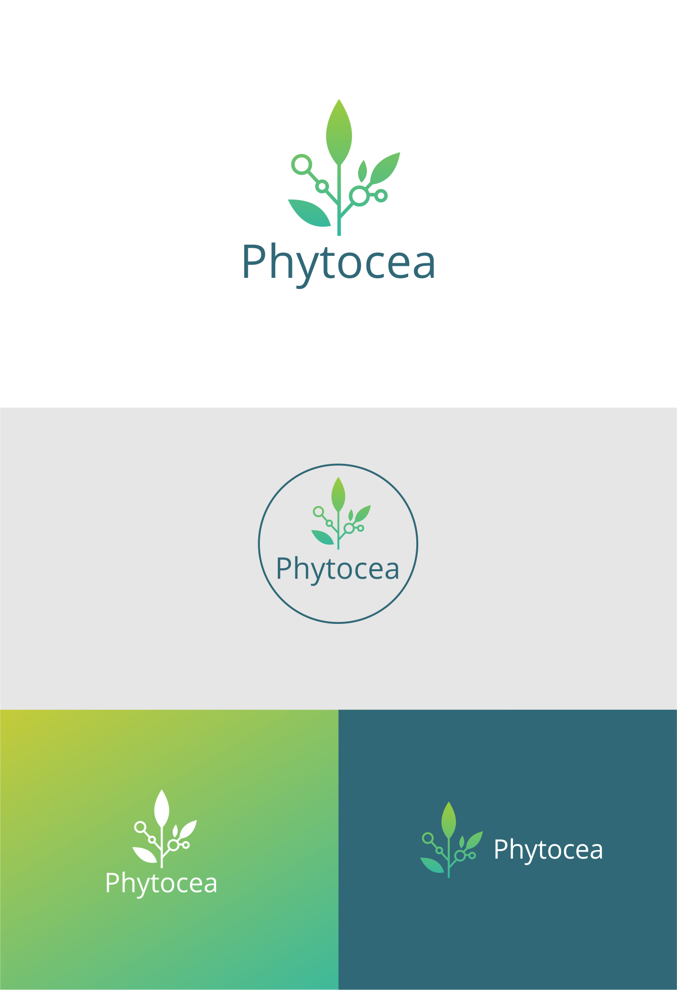 Logo Design by *mary for this project | Design #25875773