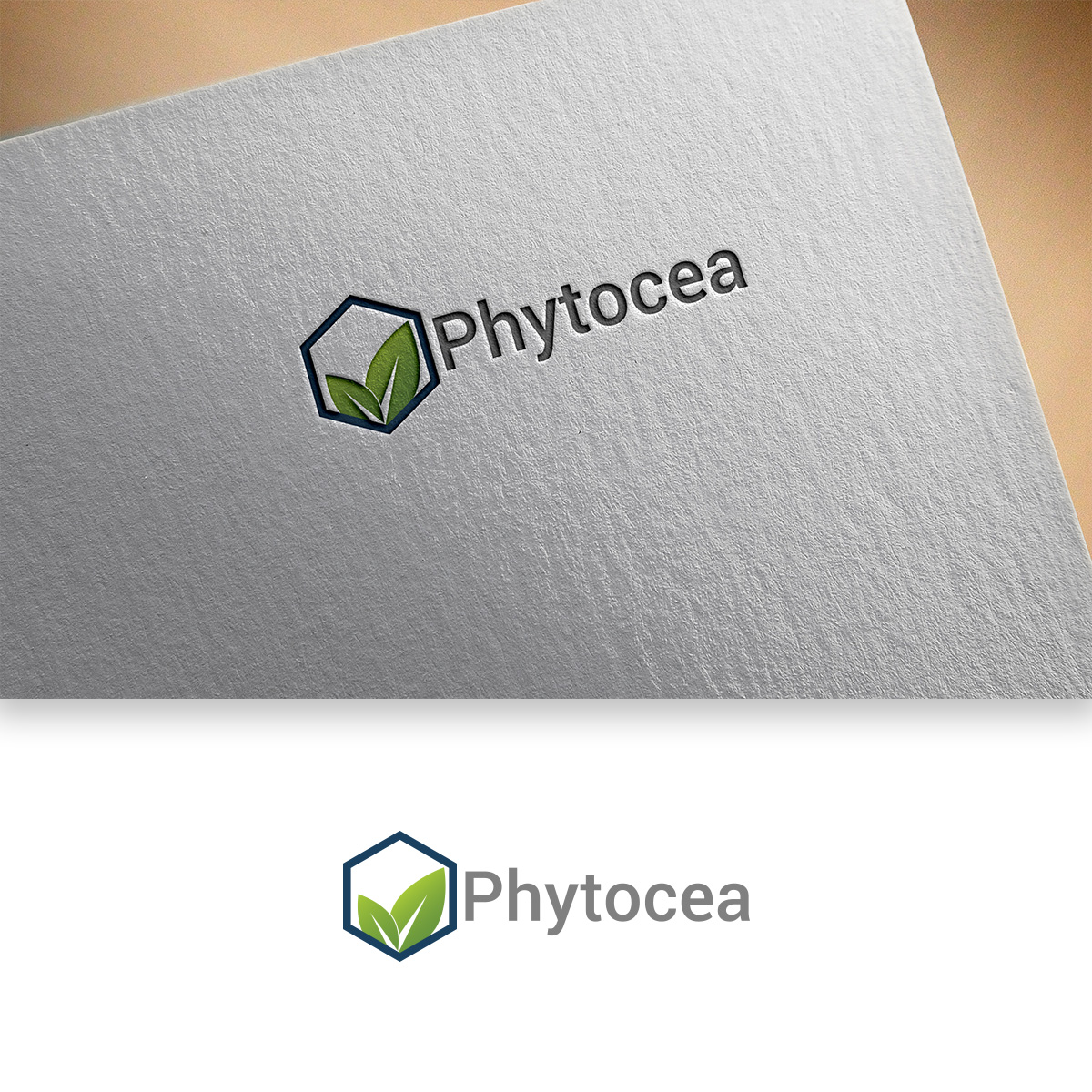 Diseño de Logo por DesignDUO para este proyecto | Diseño #25632721