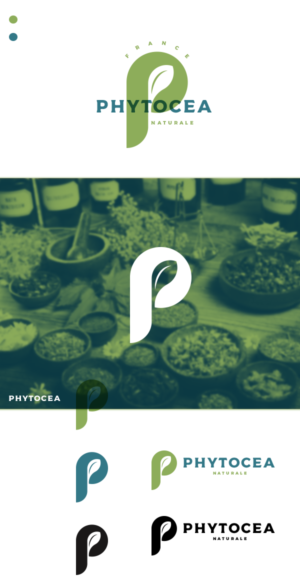 Design de Logo par JTdsign pour ce projet | Design : #25557794