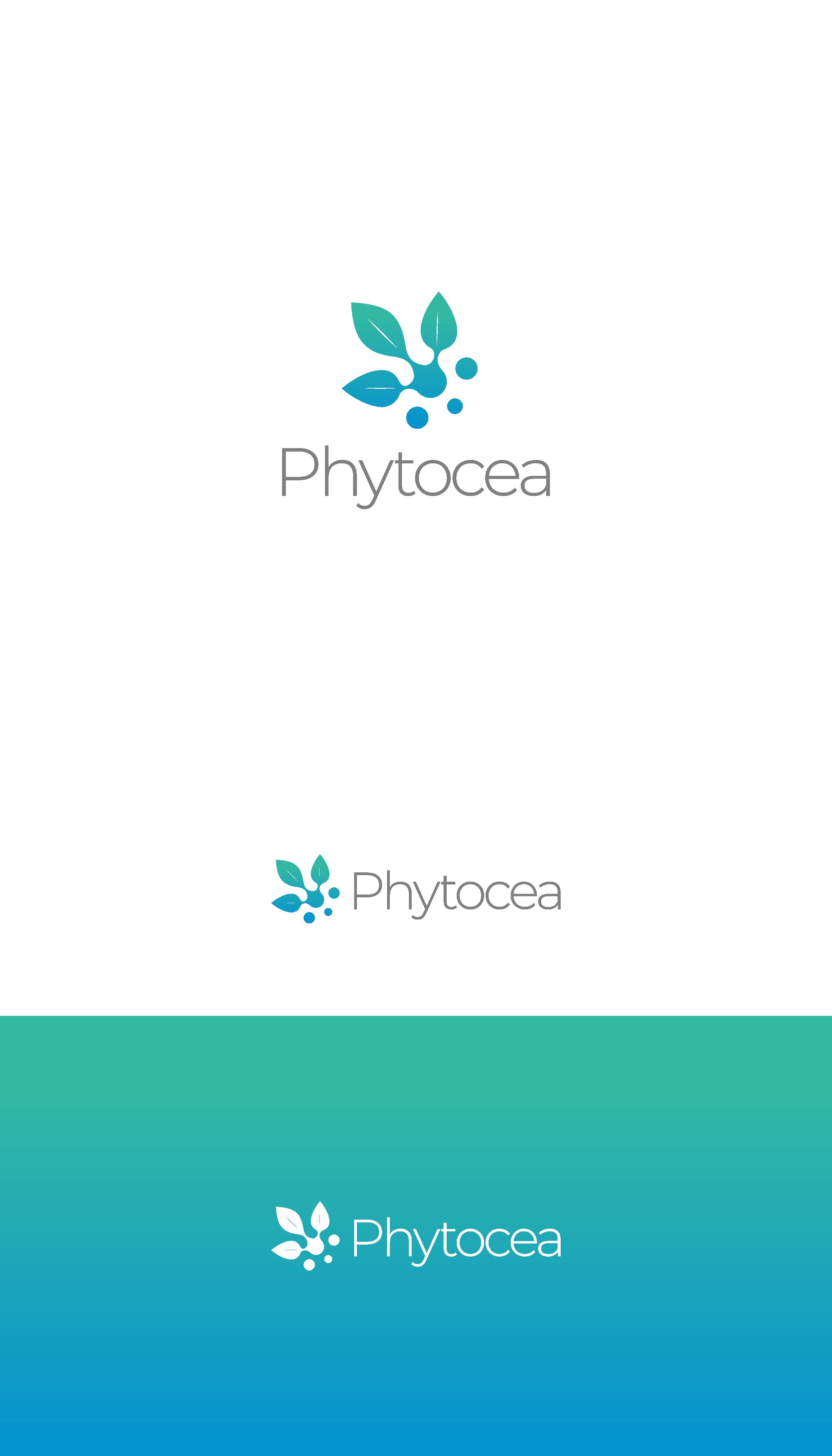 Logo Design by ace_art™ for this project | Design #25542580