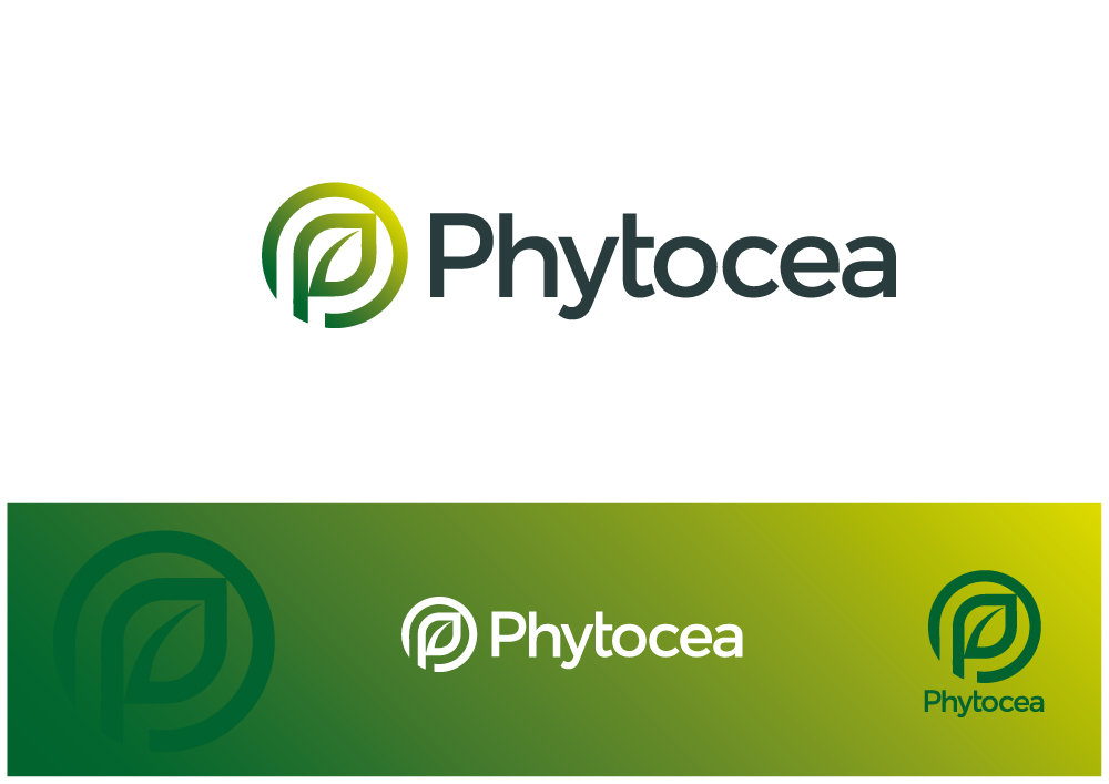 Logo Design by Nigel B for this project | Design #25670137