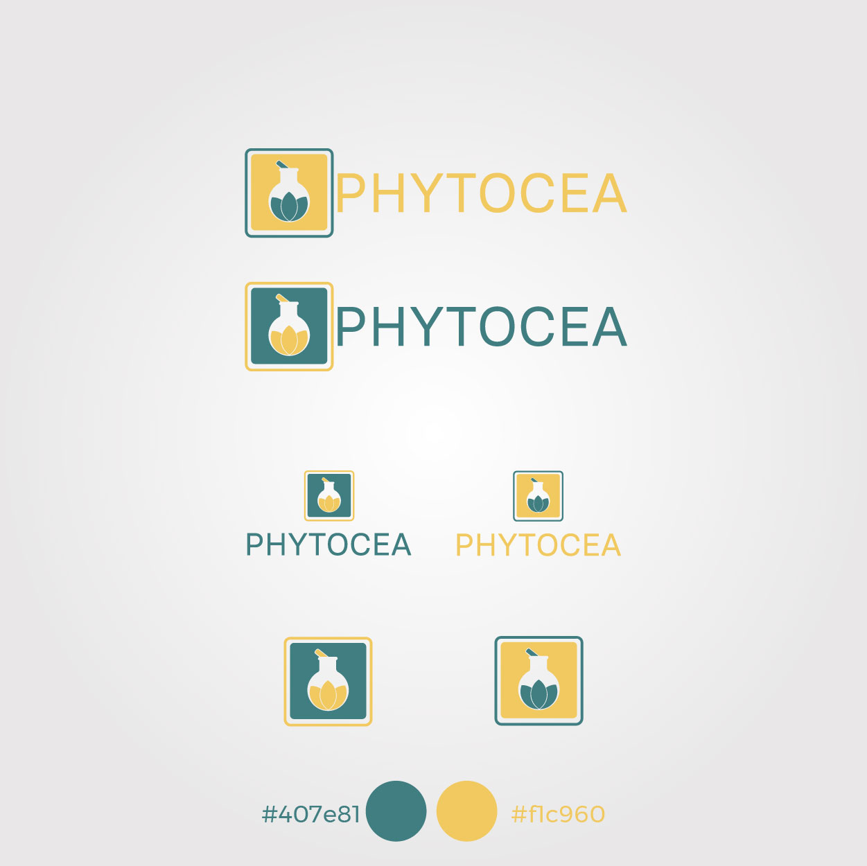 Logo Design by Adeelshaikh for this project | Design #25622453