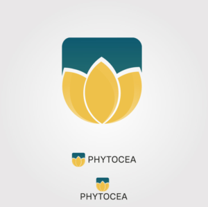 Logo Design by Adeelshaikh for this project | Design: #25627637