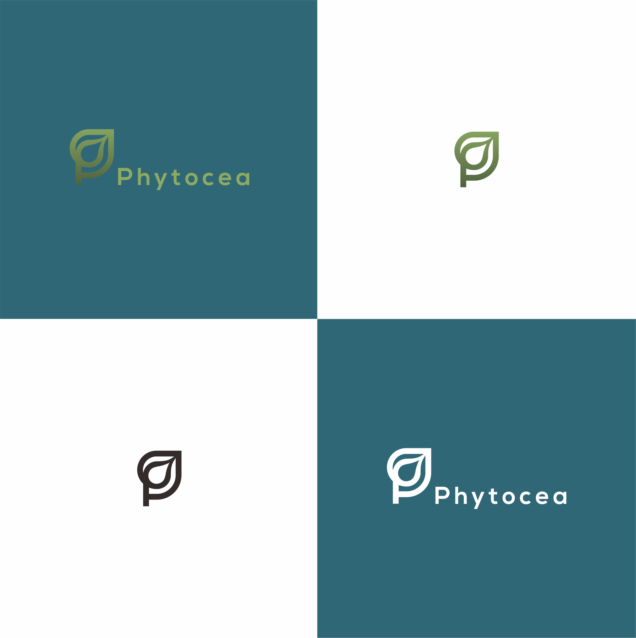 Design de Logo par AnglingD pour ce projet | Design #25677176