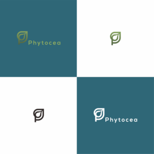 Logo Design by AnglingD for this project | Design: #25677176