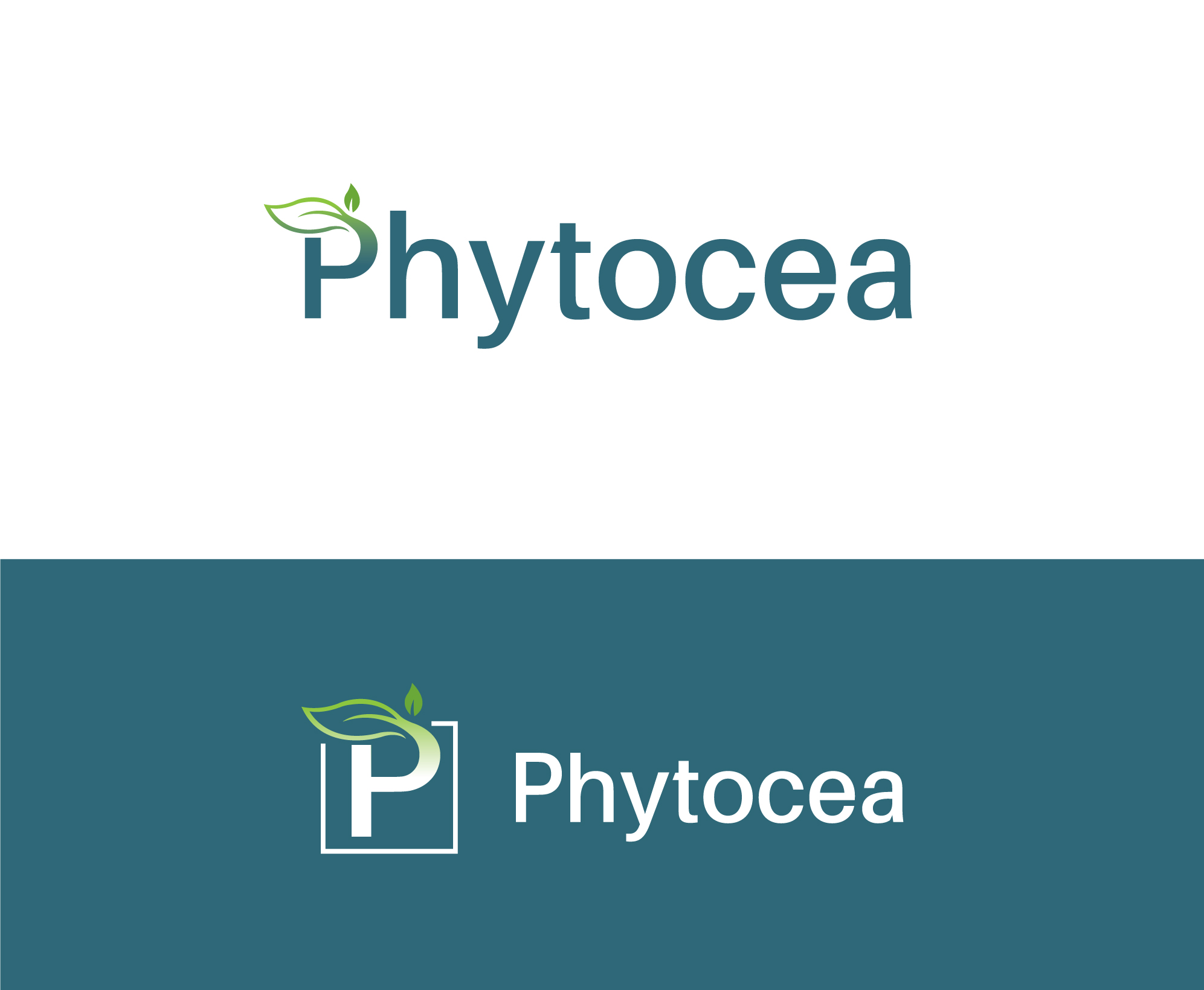 Logo Design by hoaihoai for this project | Design #25728760