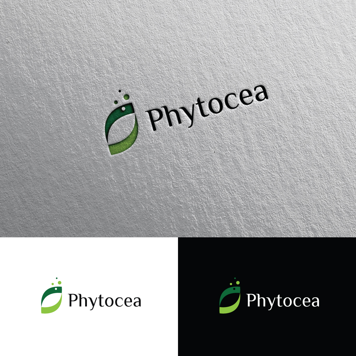 Logo Design by Rii for this project | Design #25542053