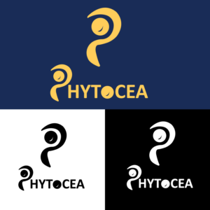 Logo Design by artanotherleveldesigns