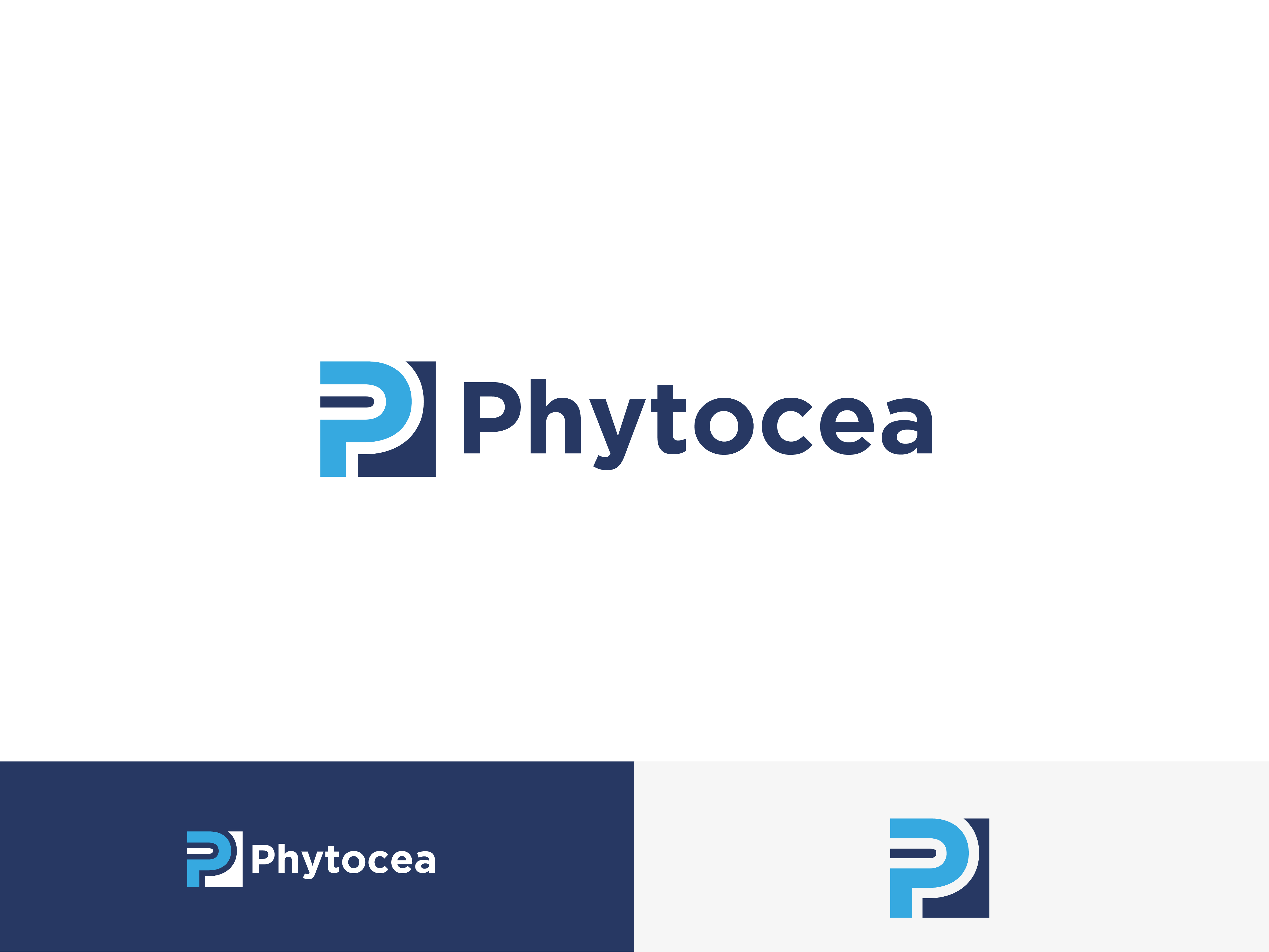 Logo Design by Jet-D for this project | Design #25662621