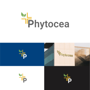 Logo Design by Designs_4_U