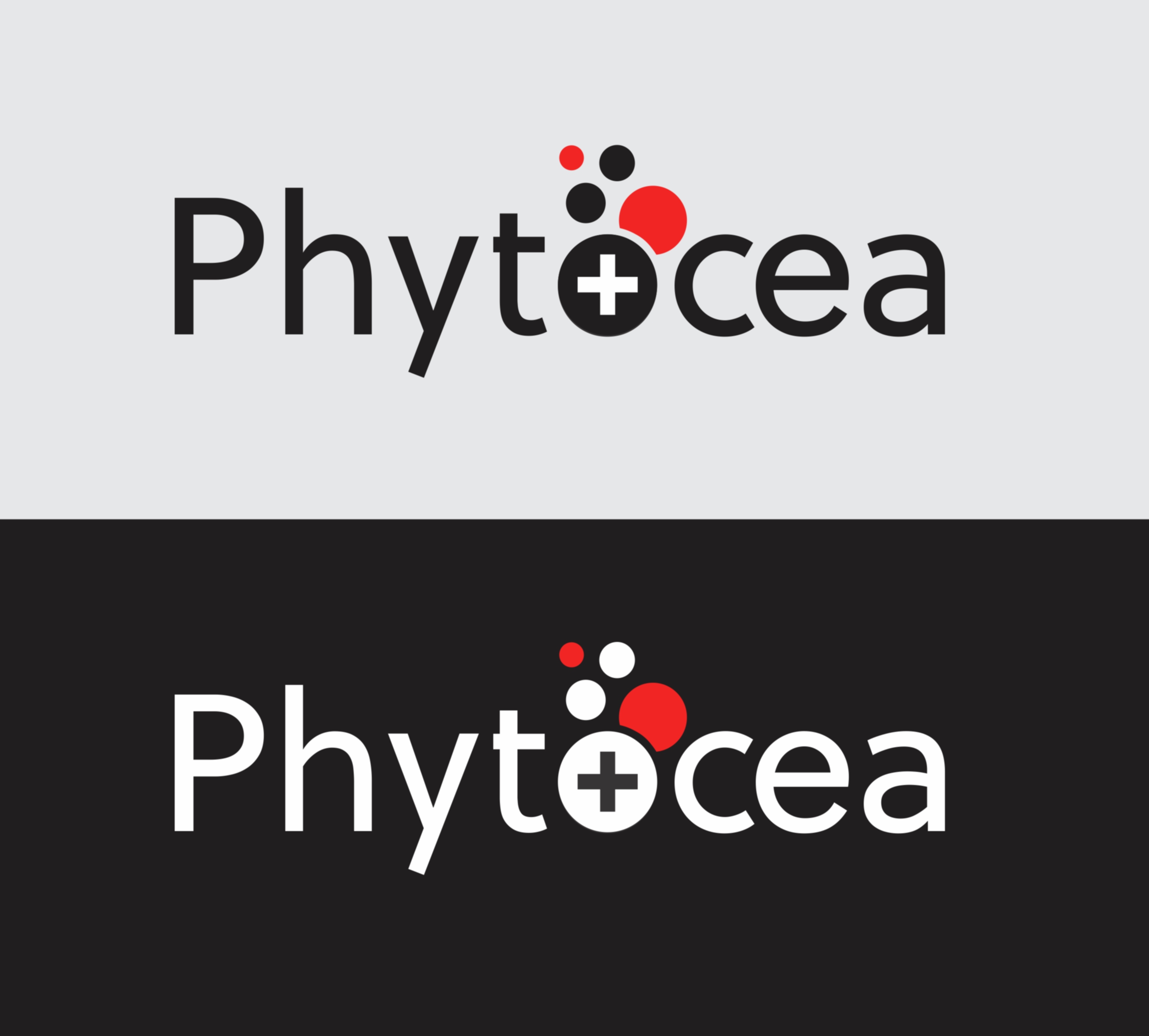 Logo Design by ANS CREATION for this project | Design #25645436