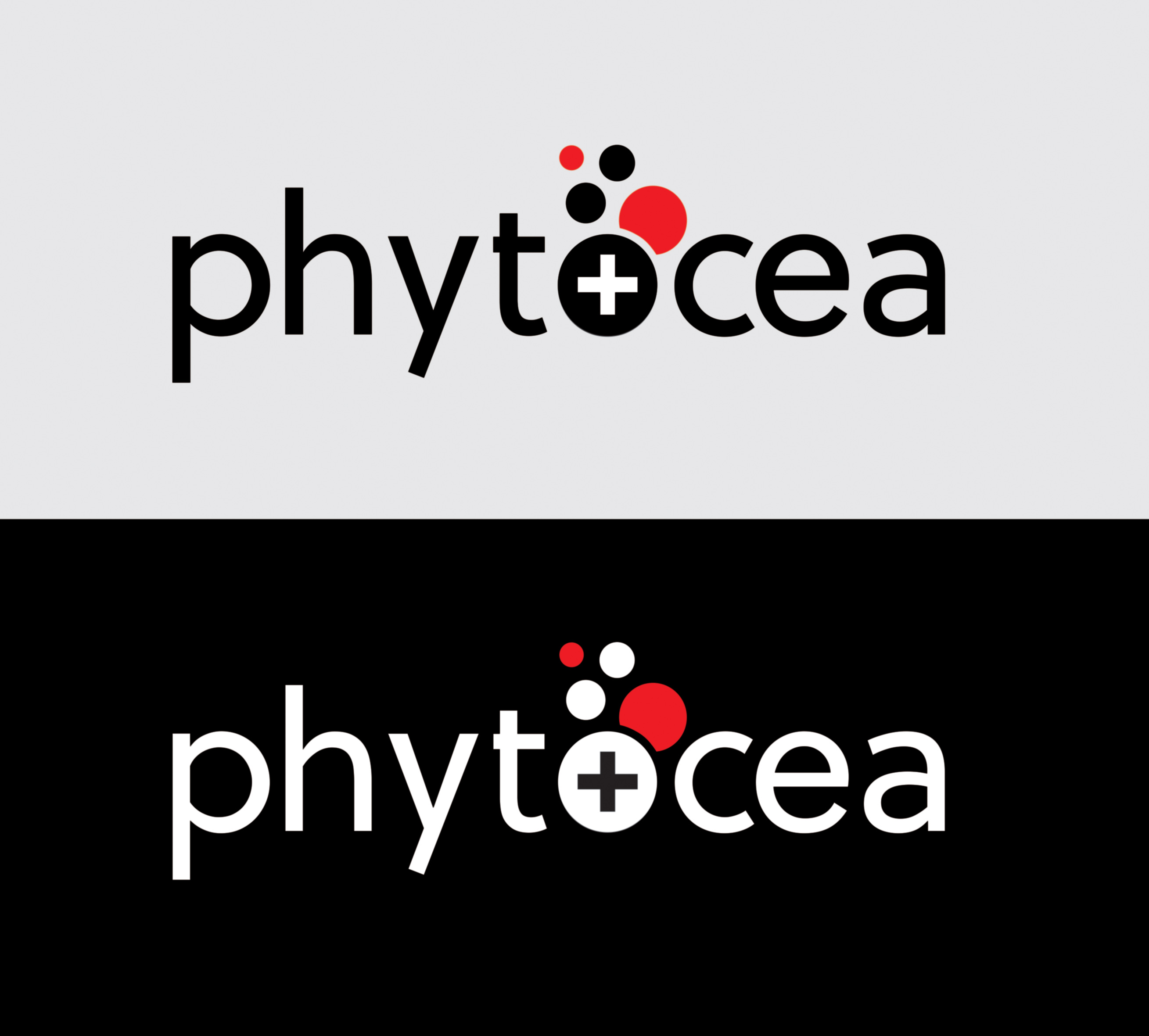 Logo Design by ANS CREATION for this project | Design #25645439