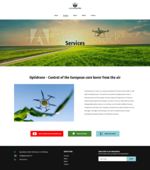 Web Design by Gjlfajardo for this project | Design: #25584397