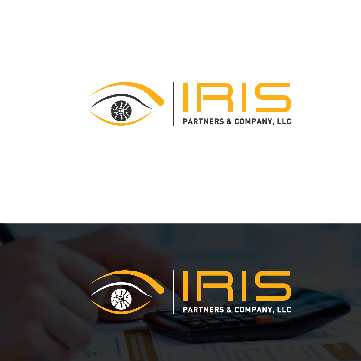 Logo Design by Deziners Zone for this project | Design #25553153