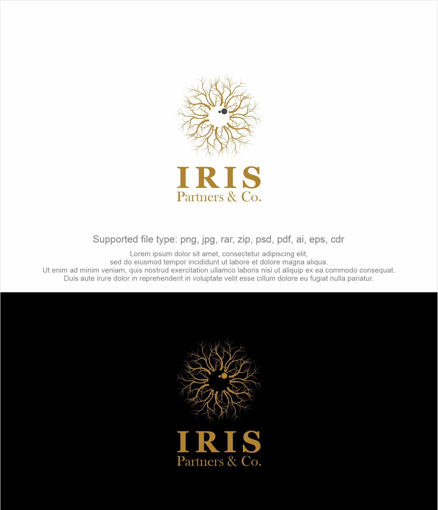 Logo Design by Indra Putra for this project | Design #25601365