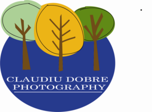 Logo Design by terri snyder