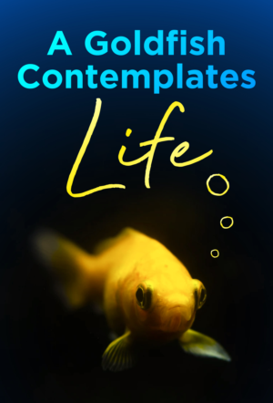 Poster Design by JFarrance