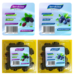 Packaging Design by tanya_gaysina59
