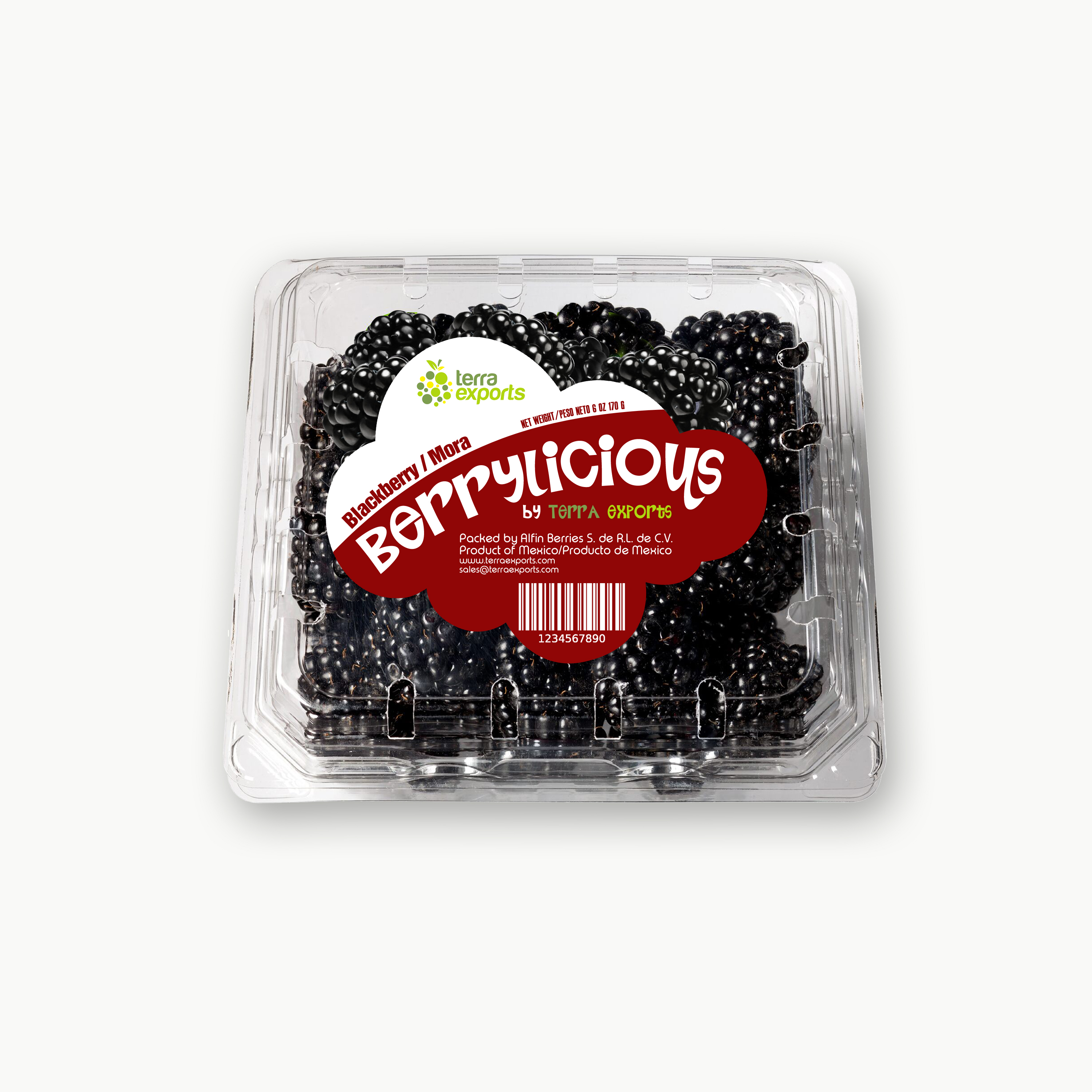 Packaging Design by tarokun for this project | Design #25561348