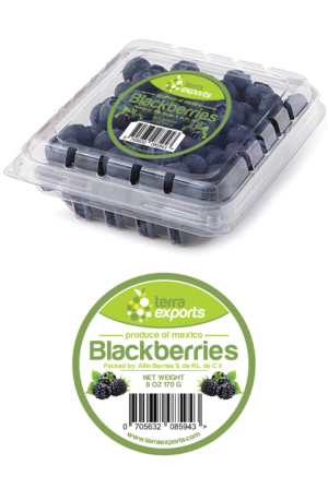 Packaging Design by Deziners Zone for this project | Design: #25548664