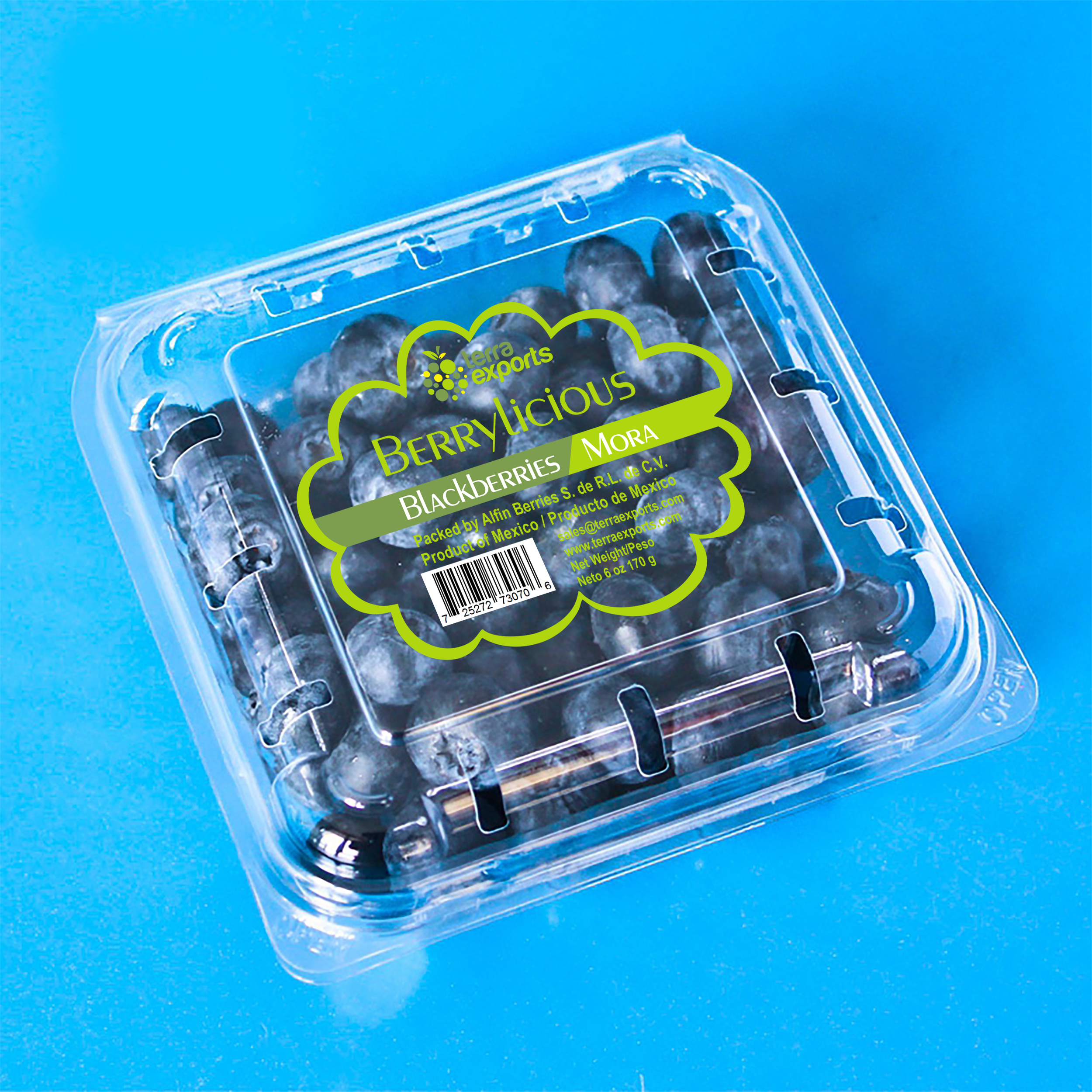 Diseño de Empaque por tt-67 para este proyecto | Diseño #25577105