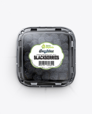 Packaging Design by ronin71 for this project | Design: #25546695