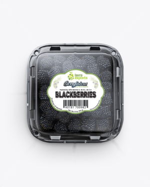 Packaging Design by ronin71 for this project | Design: #25546754