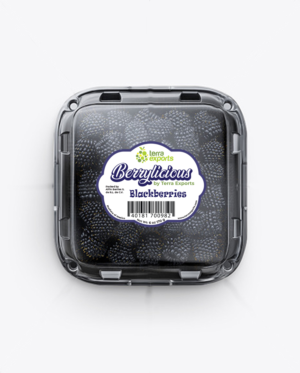 Packaging Design by ronin71 for this project | Design: #25552832