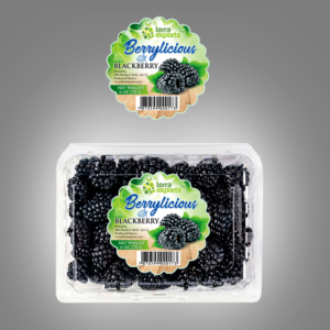 Packaging Design by slavisa_ves for this project | Design: #25548372