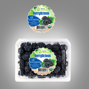 Packaging Design by slavisa_ves for this project | Design: #25548388