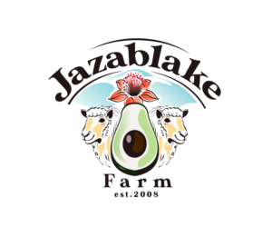 Logo Design by Jay Design