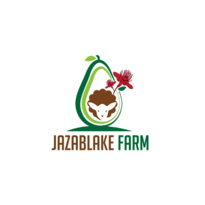 Logo Design by Graphic Bricks