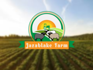 Logo-Design von Quratulain 25 für dieses Projekt | Design #25550510