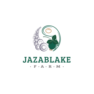 Logo-Design von Web designer, Logo designer, UI/UX designer für dieses Projekt | Design #25580301