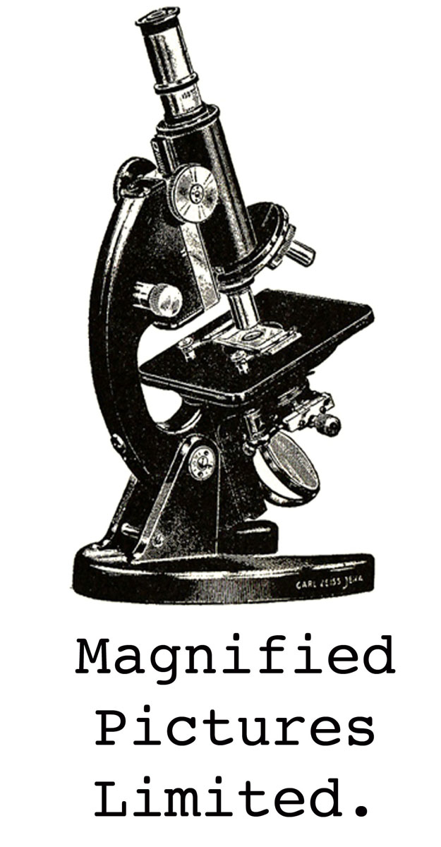 Logo Design by freyamcleod for this project | Design #732368