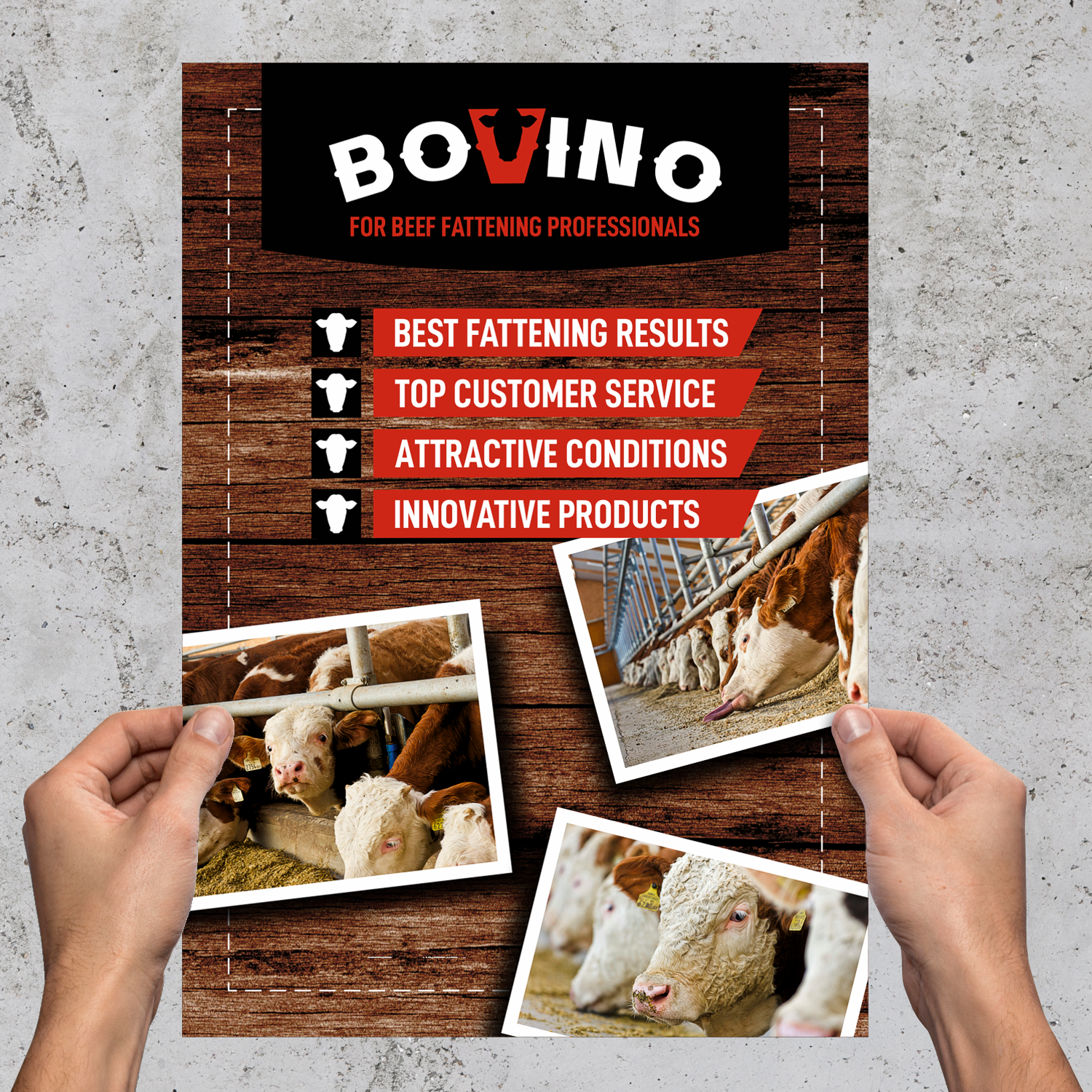 Flyer Design by 3-ikE for Multiforsa AG | Design #25579737
