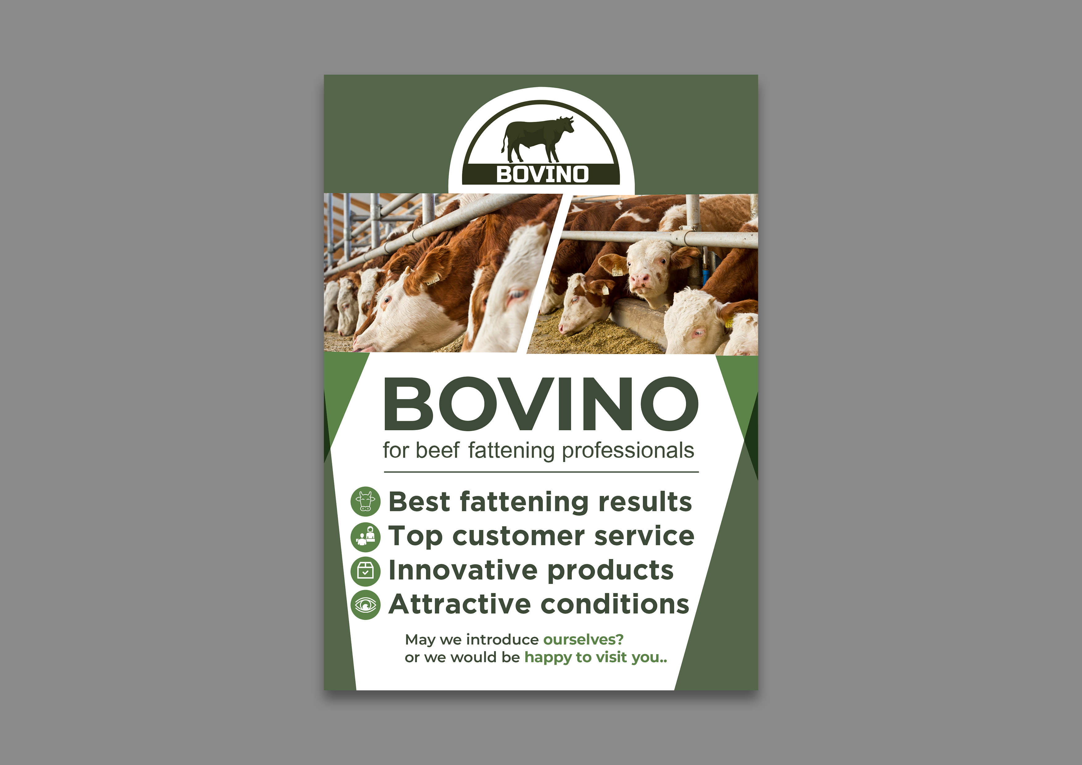 Flyer Design by Black Machine Grafx for Multiforsa AG | Design #25578176