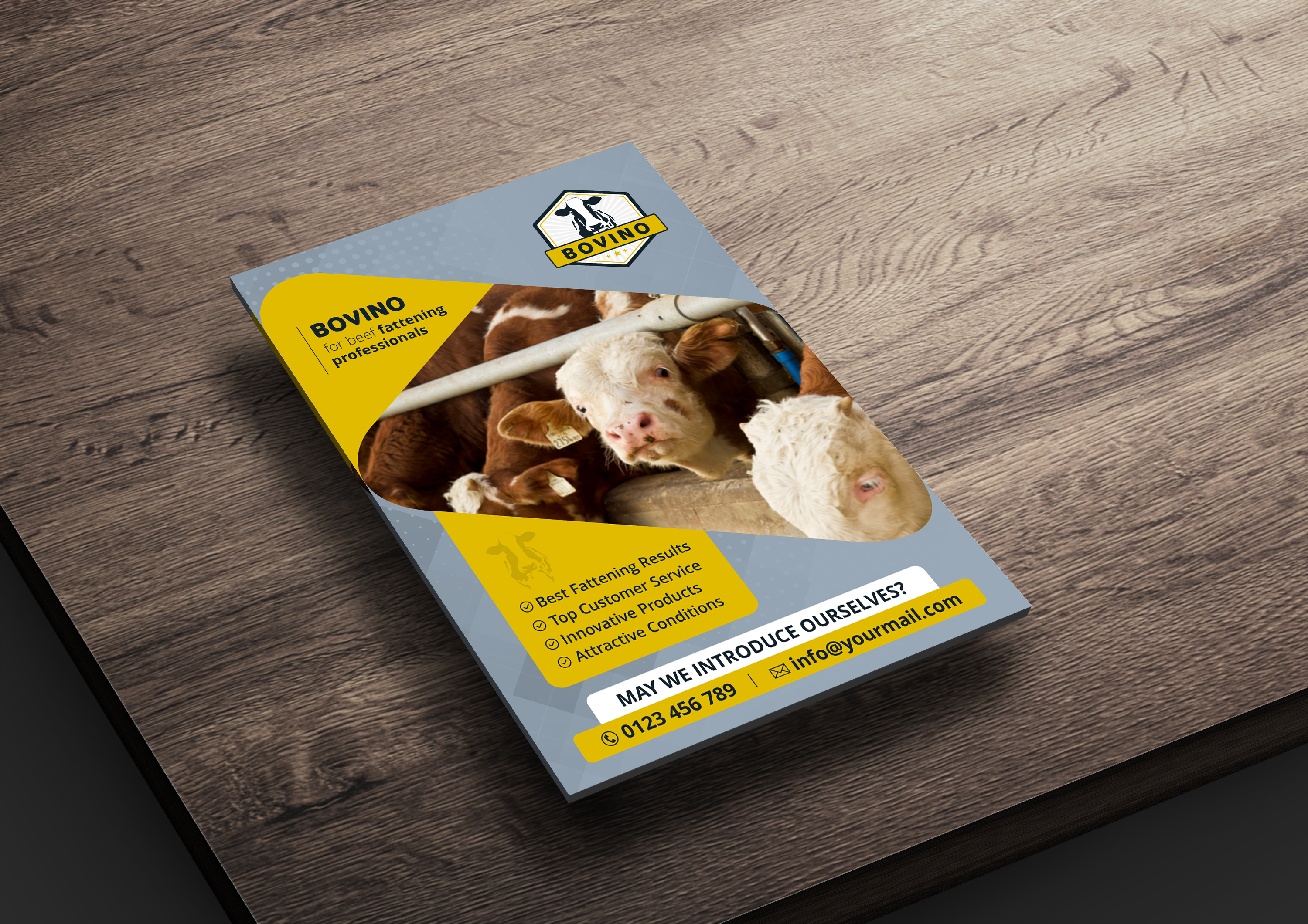 Flyer-Design von ecorokerz für Multiforsa AG | Design #25571171