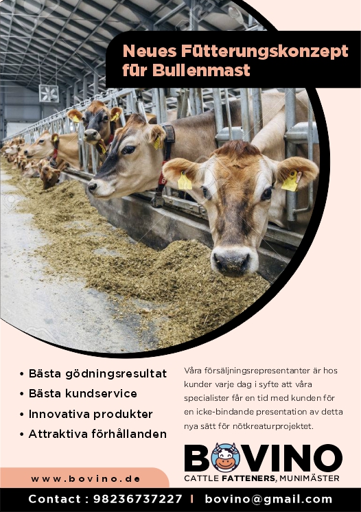 Flyer Design by DesignART for Multiforsa AG | Design #25579749
