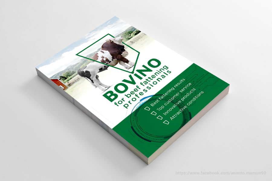 Flyer Design by RAHIM DESIGNS for Multiforsa AG | Design #25573822