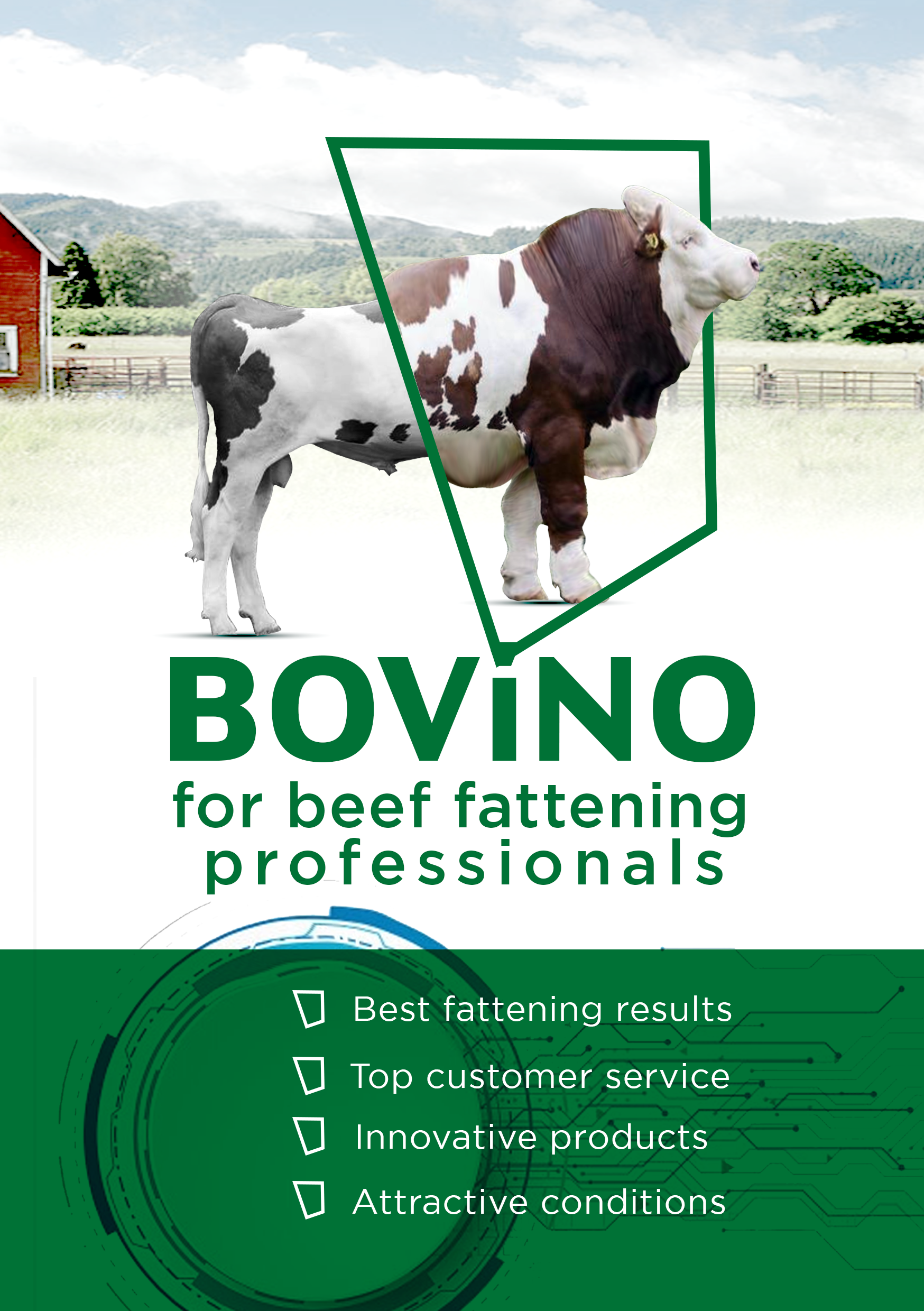 Flyer Design by RAHIM DESIGNS for Multiforsa AG | Design #25573832