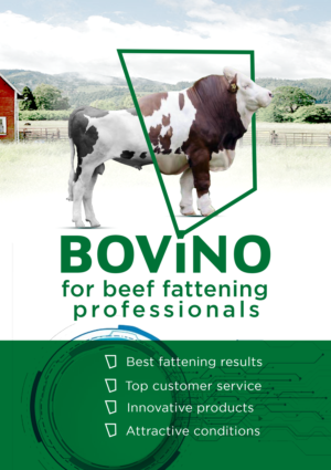 Flyer Design by RAHIM DESIGNS for Multiforsa AG | Design: #25573832