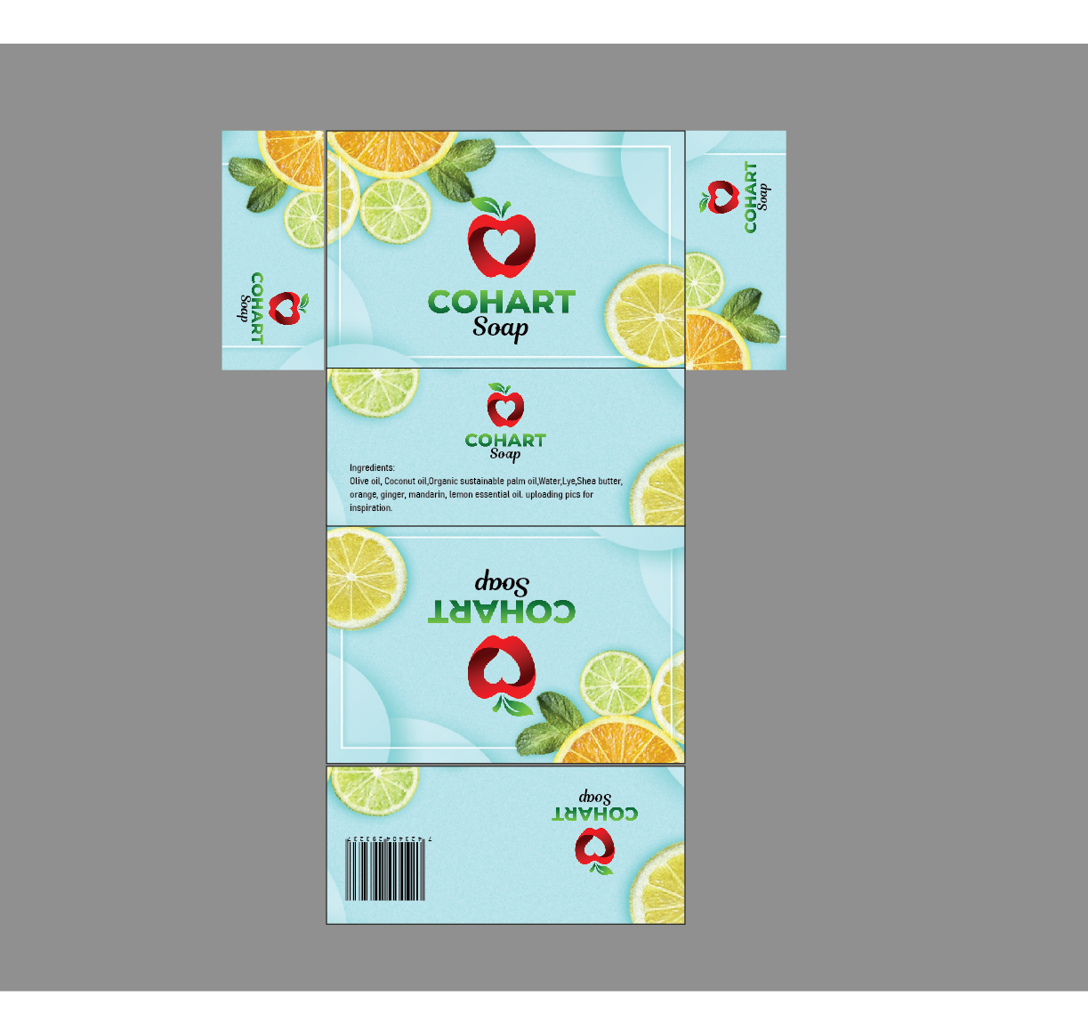 Packaging Design by Savitra for this project | Design #25597622