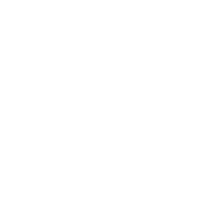 Diseño de Logo por bubu para este proyecto | Diseño: #25609611