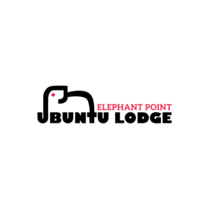 Design de Logo par ARTDOTBUMBA HOUSE OF DESIGN pour ce projet | Design : #25570615