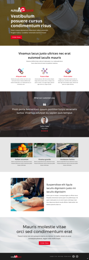 Design de Page d'Accueil par pb pour ce projet | Design : #25592583